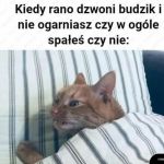 Cosiedzieje