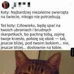Koty takie są