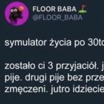 Symulator