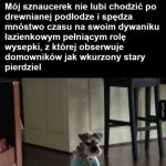 Siedzi i ocenia