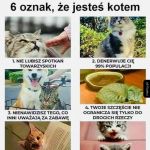 Oznaki
