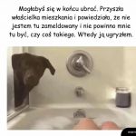 Gdy pies otwiera drzwi