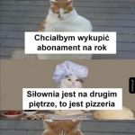 Karnecik
