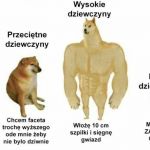 Czy naprawdę tak jest?