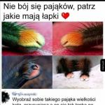 Nie bój sie...