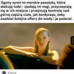Po to płacę za internet