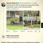No cóż