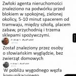Agent nieruchomości