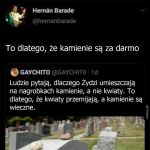 Kamienie vs kwaity