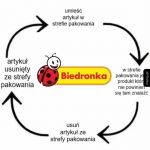 Biedronkowe koło rozpaczy