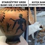 Kot i Grek