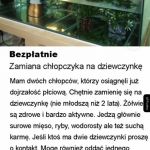 Dziwnie się zaczęło to czytać