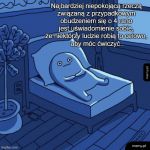 Albo pracować