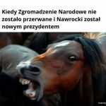 Szał kunia