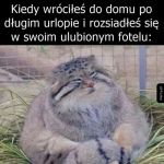 Miejscówka