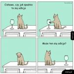 Oto jest pytanie