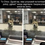 Chico