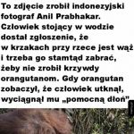 Epickie zdjęcie