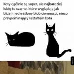Czarny kot