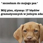 Konsternacja