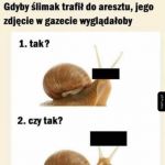 No właśnie - jak?