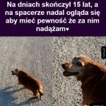 Kochany