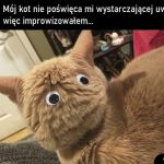 Improwizacja