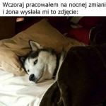 Pieseł