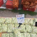 Bup śwjerzy