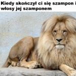 Bujna czupryna