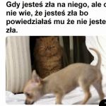 I wszystko jasne