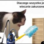 Dlaczego?