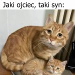 Podobieństwo