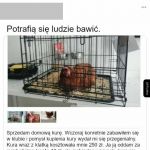 Potrafią się ludzie bawić