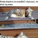 Irytujące