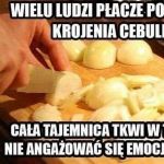 Cebula