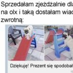 Zjeżdżalnia dla psa