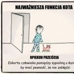 Funkcja kota