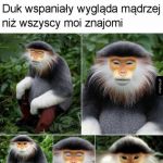 Jak mnich