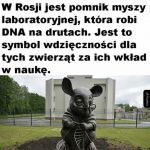 Hołd dla myszek