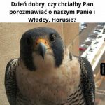 Ależ oczywiście