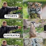 Tak