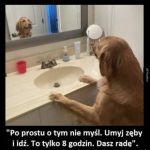 Dasz radę
