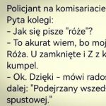 Róża