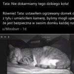 Zawsze się tak kończy