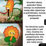 Państwo z gówna i dykty
