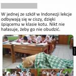 Szkoła