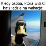 Dlużnik   xd