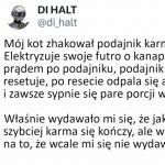 Kot haker