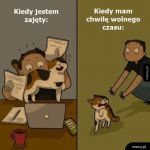 Takie są koty